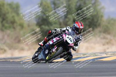 media/Apr-19-2025-CVMA (Sat) [[586b59ad56]]/Race 9-Supersport Middleweight/